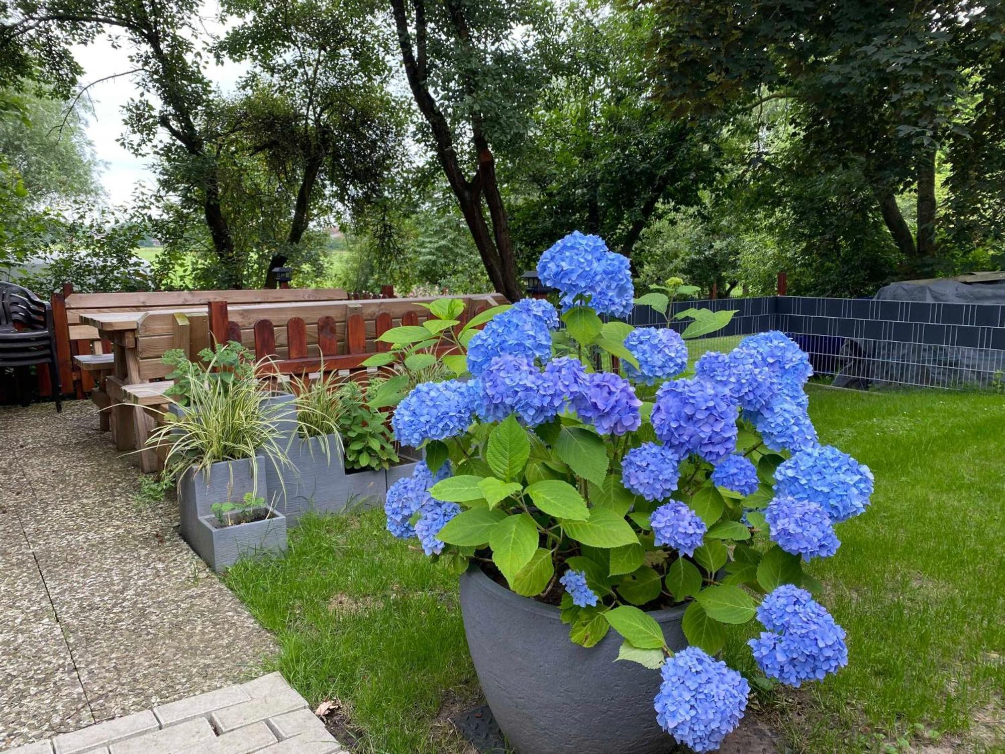 Bunde  Ferienhaus Am Bunderhammrich 25184 מראה חיצוני תמונה